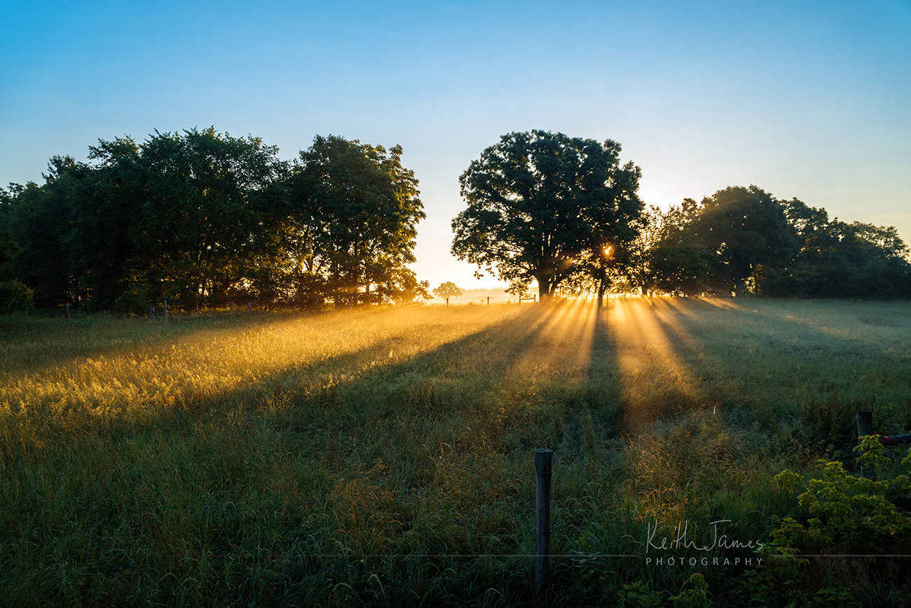 Landscape Photography: Sunrise over a Pasture